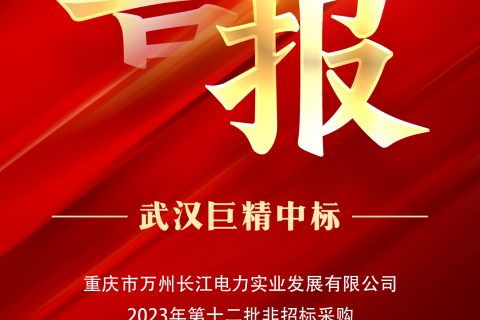 热烈祝贺pg电子中标重庆市万州长江电力实业生长有限公司2023年第十二批非招标采购
