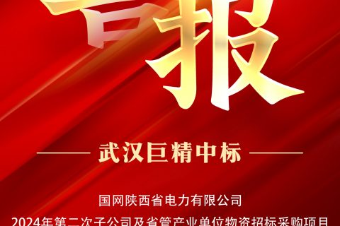 热烈祝贺pg电子中标国网陕西省电力有限公司2024年第二次子公司及省管工业单位物资招标采购项目